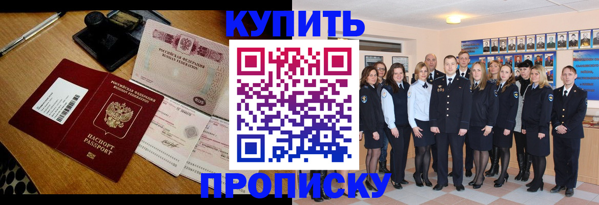 прописка 2025 в Звенигово